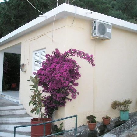 Faliraki Apartments Mpenitses Eksteriør billede